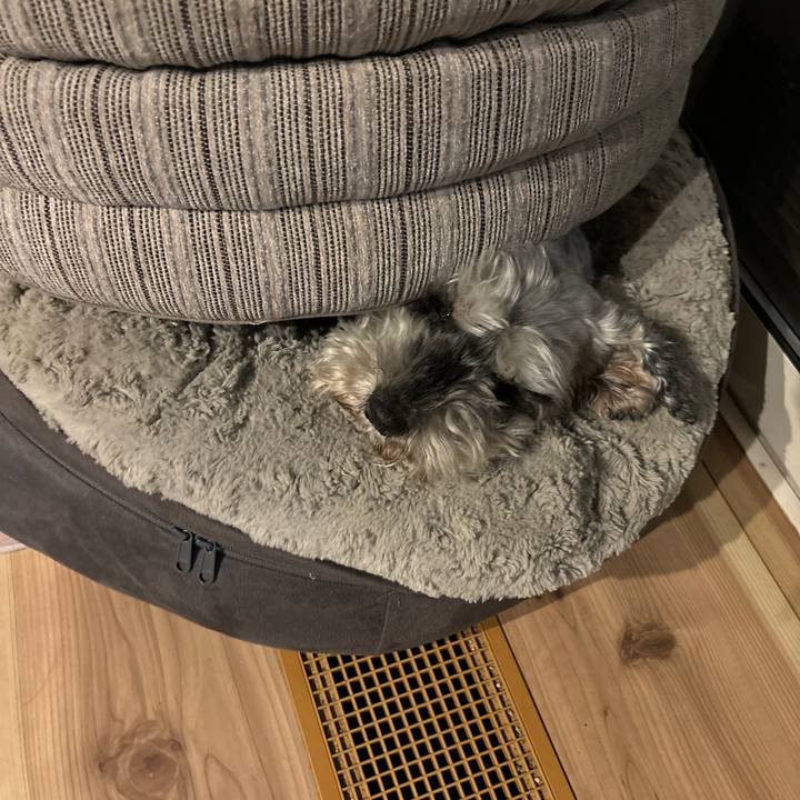 60934623 e2fd 40af a643 3d904621b30a 1712927288949