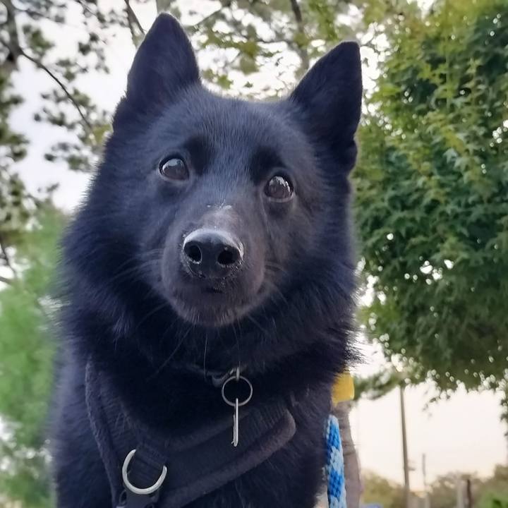 60935902 d250 49a4 842a abab192e094b 1729551181320