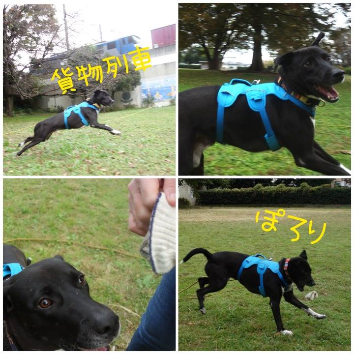 60935f34 c6fe 466b a274 9b11b77fd9d9 1604708378272