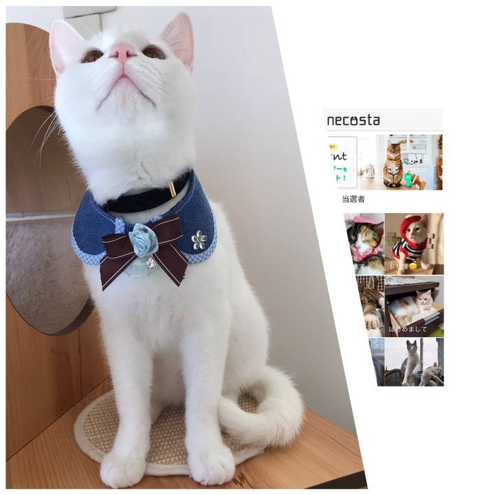 60937b37 4b58 4974 9f48 0ce3d209c6ef 1575944668594