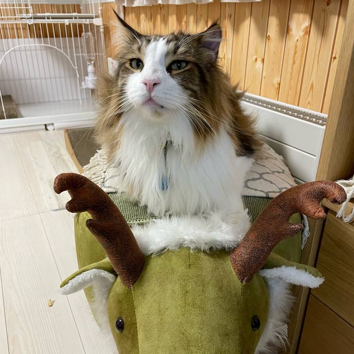 6093a159 8baa 42ee a2b3 8dc1df4e5a5a 1710274033620