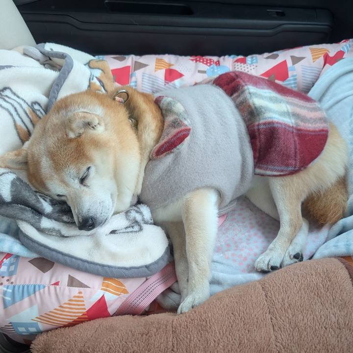 6093bf84 6295 47fa ad37 aff0c5053476 1765531192006