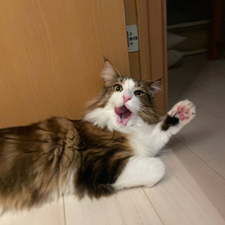 6093e84a a27e 4adc bd60 ecf73ba46428 1667936644975