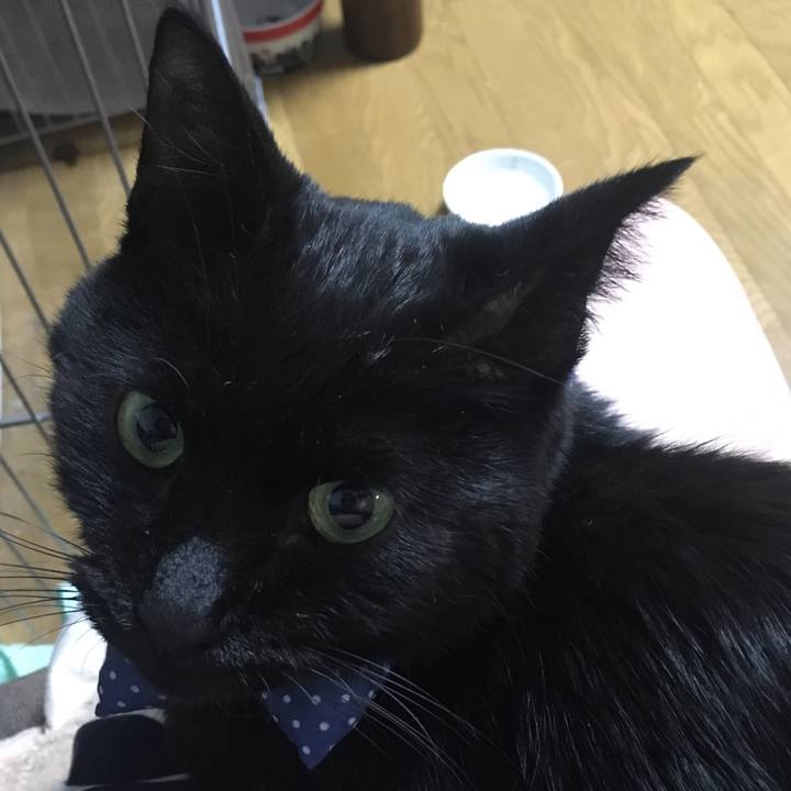 6094125f ddad 41b5 95e4 28b74339474f 1552301129854