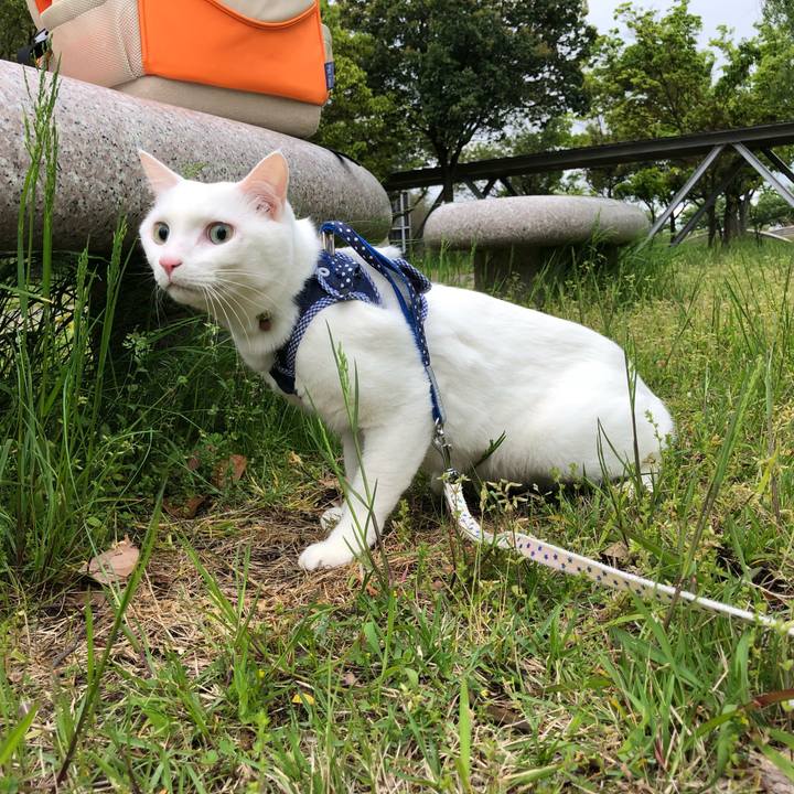 60941f8f a504 47de a957 d764beba5de5 1525350984243