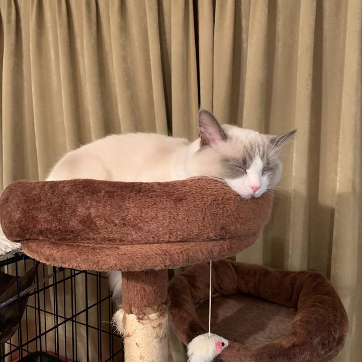 609421b1 7883 4fb0 a616 8766d76dd79a 1633261707999