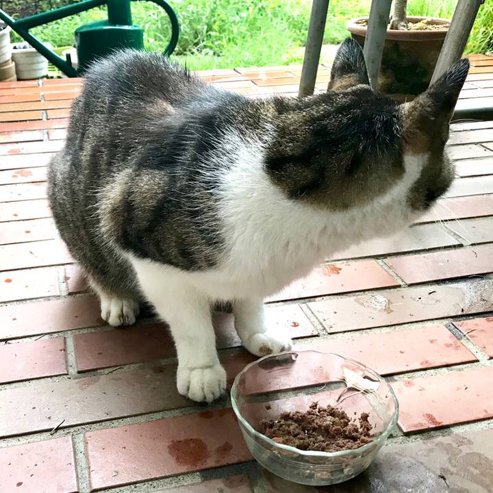 6094411c dbca 4376 ba0a be13147ede2e 1567067837483