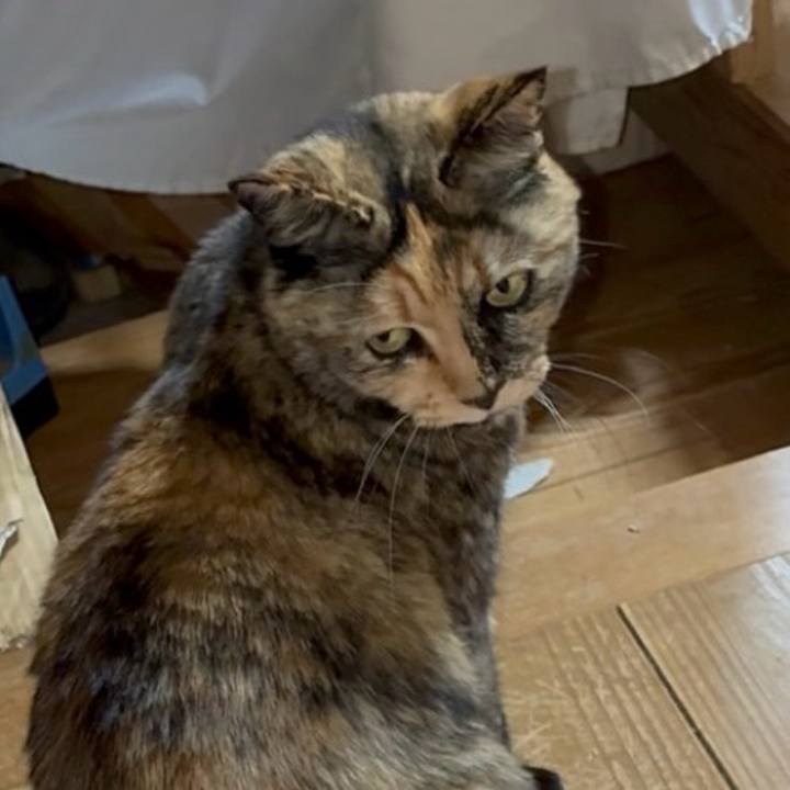 60945718 1ae8 46b9 86cf 0f85d7499997 1772052441795