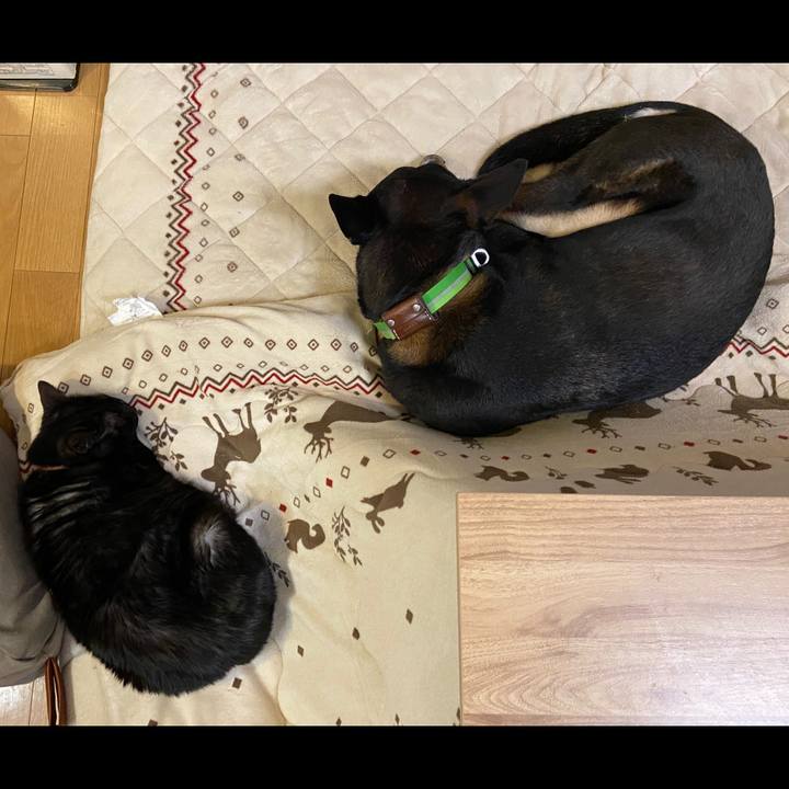 60946f89 8757 46ff a66a 0659880200d1 1646092888455