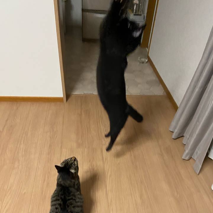 609473d5 ca22 47fa 8092 03d3856021f5 1625572950286