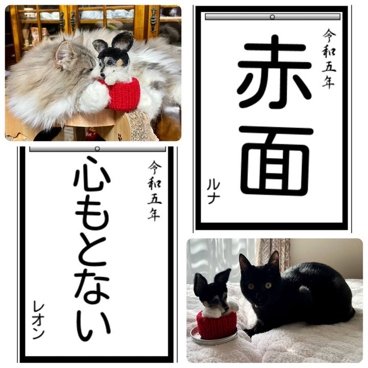 60948c1e ee7d 4959 abe1 b8db8416b188 1672732995094