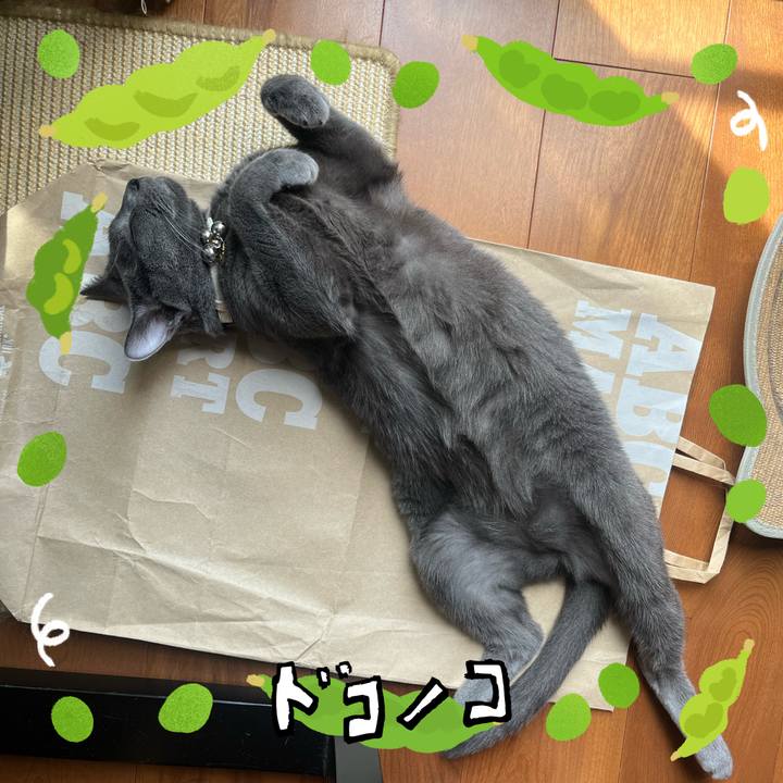 6094b227 f635 41f2 8ba1 8b63f342a66b 1721180636451