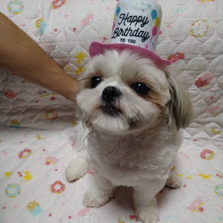 6095141a fcc1 4f31 991a f350a5ab847a 1630327772288