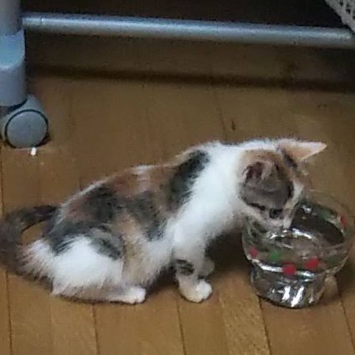 6095192d 2095 45d6 b5ea d41f8960da87 1633516244420