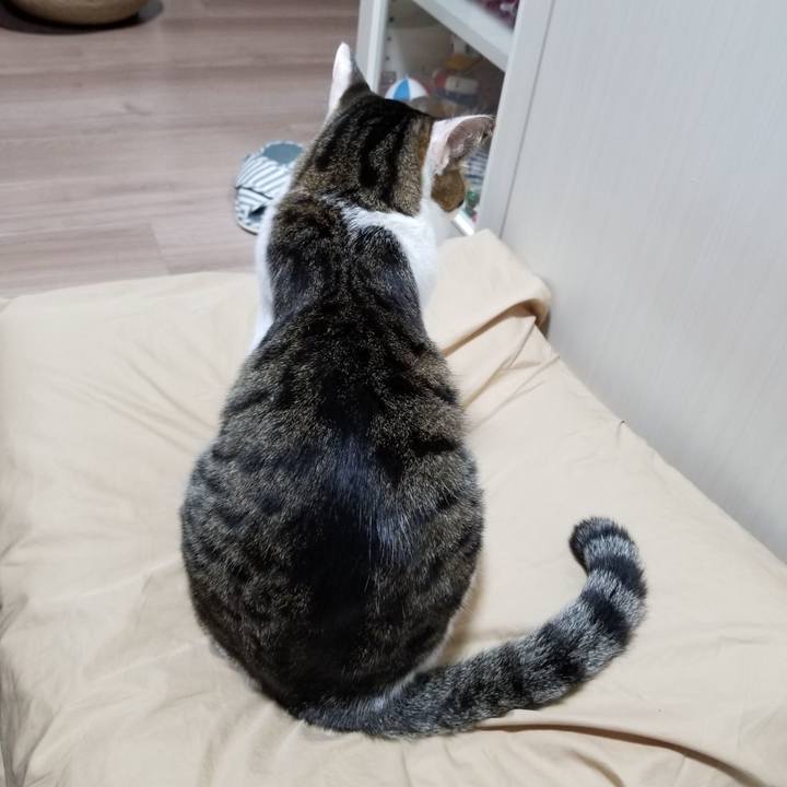 60953d6d fd8c 4fff 850b d804e413075e 1619871691228