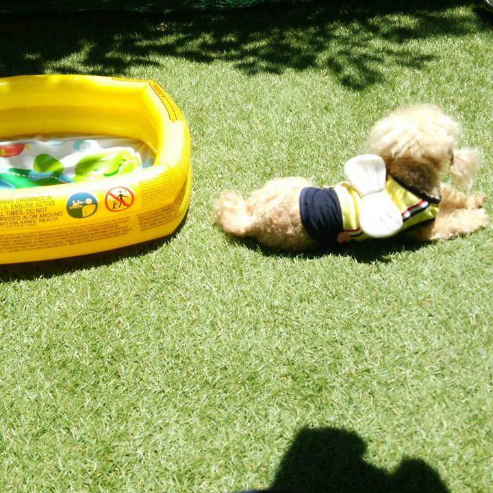 609575a6 761a 4be8 8117 fb5fdf42c6c7 1560415509909