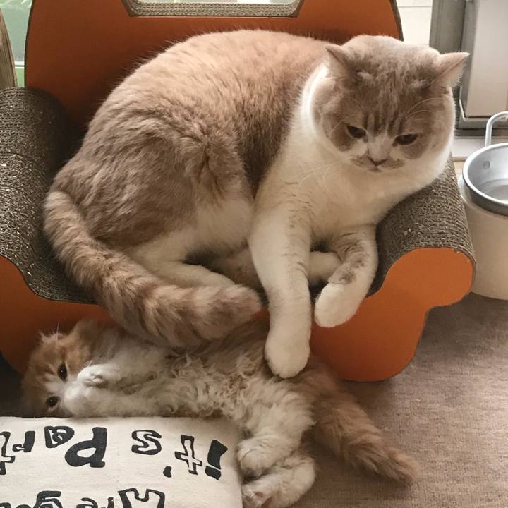 609579af 5fbe 44a3 bf83 6f7c9075ef3c 1516581719321