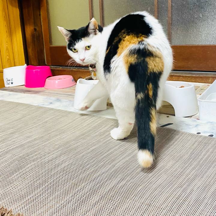 60959eb6 10b0 43f0 9815 1eb7099d6297 1746444030249