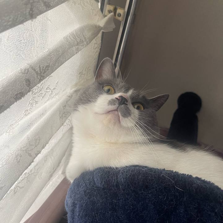 6095baac 3242 4a2e a802 38ecdb881ad8 1683418918128