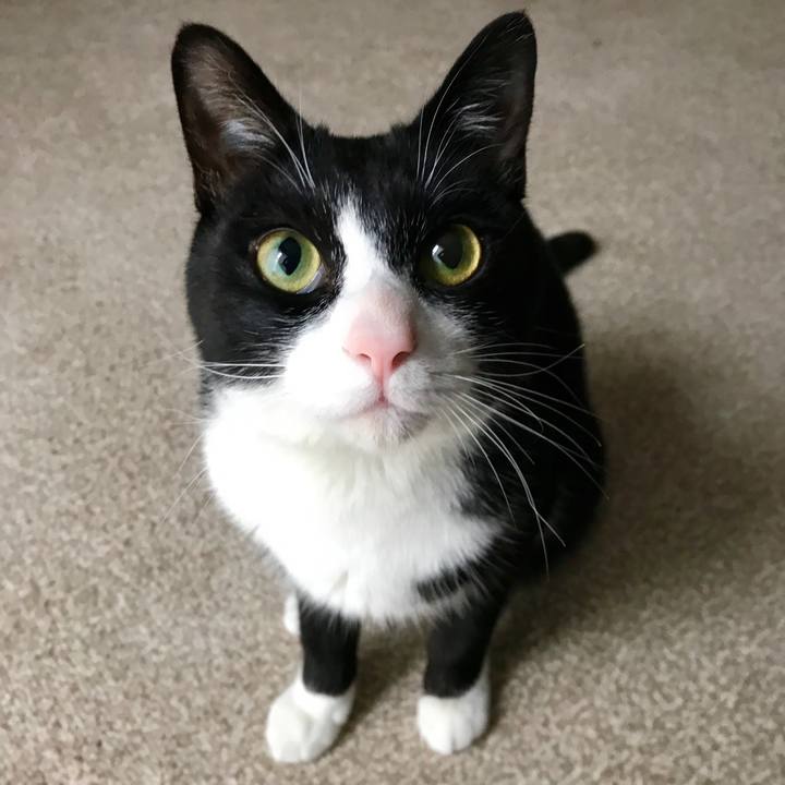 6095f9b7 4095 4283 b86e 47ad423bd72c 1524003519112