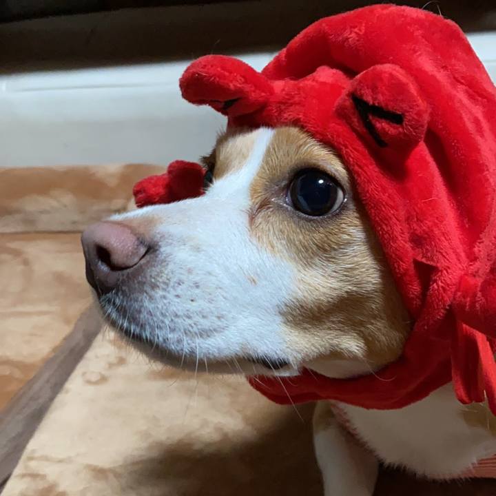 6096c2bf 16ce 473e a7e4 979c6b375822 1624959142212