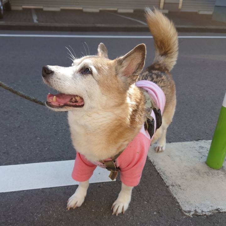 6096e582 7d5e 45d4 bd0c dd0e7fcf7cc6 1698468814614