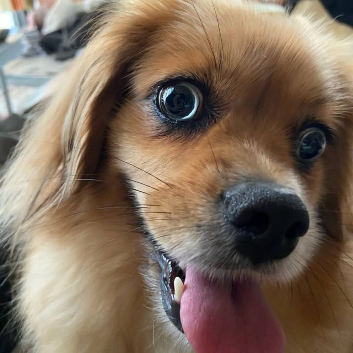 6096eb7d 4882 4f37 b22d 508796914acd 1596404914825