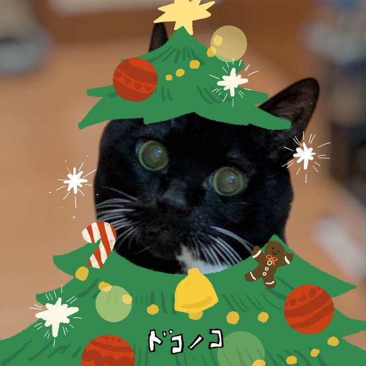 609708bf 78e4 4b1f b371 dcb70da10d26 1763898352179