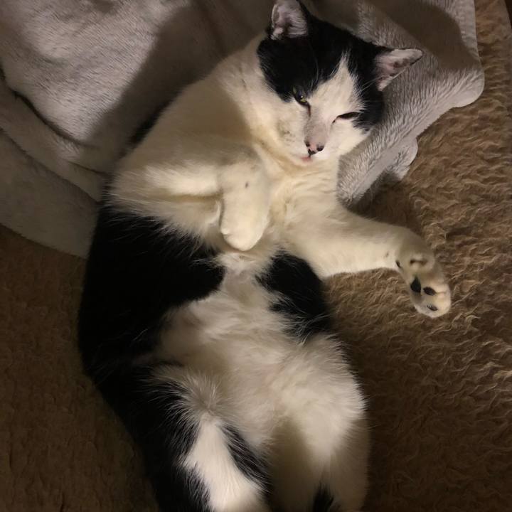 6097118c c0a7 4b19 9f3c d930b7cf14cb 1550980677894