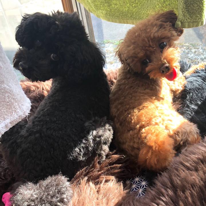 60972ee2 6067 4323 918c 7f8beeaad9b7 1578882396062