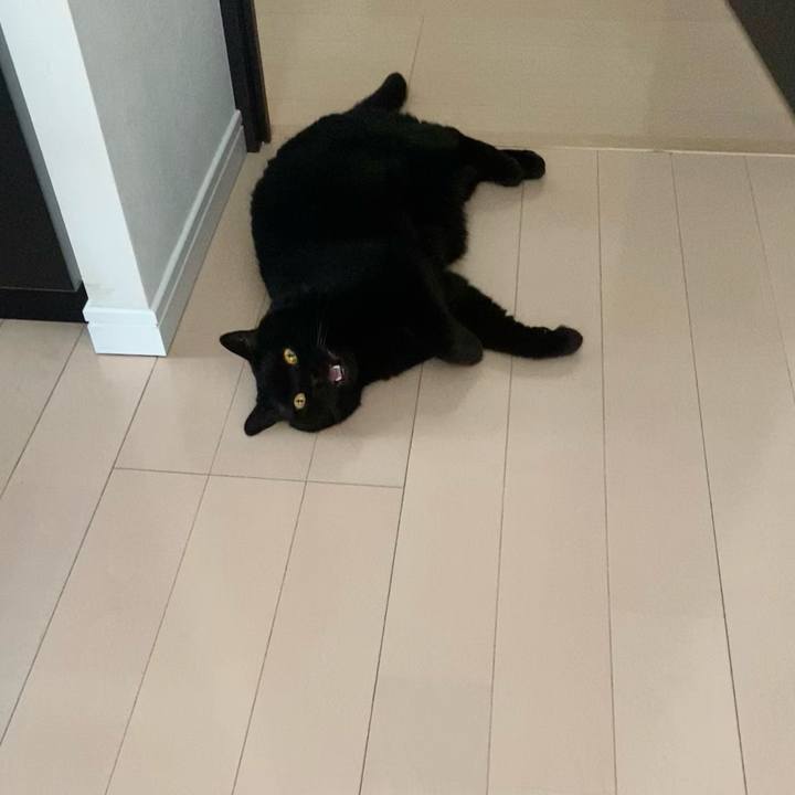 6097aa69 6b65 4c81 9f10 1b13b0ec796b 1755419907987