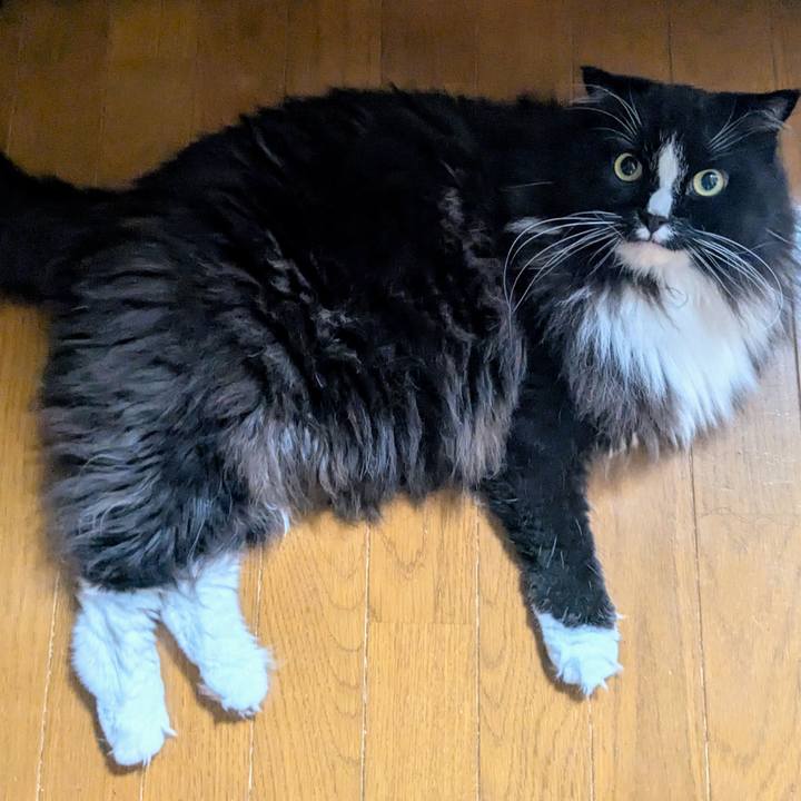 6097b2b0 f134 4dab 8af4 bab51a2f55eb 1754685852418