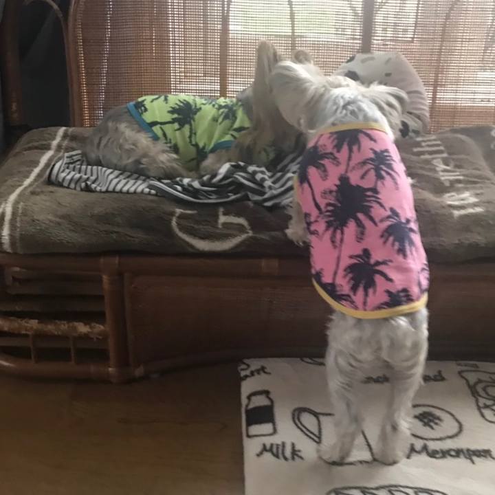 6097f5a0 bf82 454f 9818 68372e2ad331 1574672470988