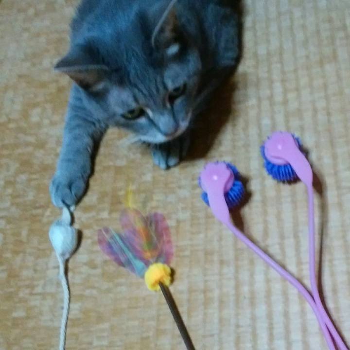 60980547 3399 4b3b 94c0 654bc567b2cc 1567603250321