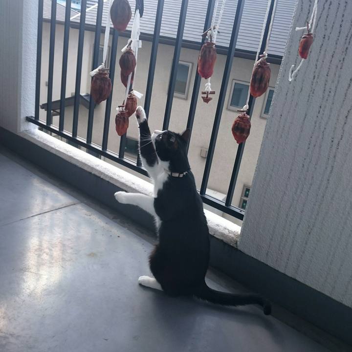 609820af 84af 442d b73d 75dcf2231059 1510800407432