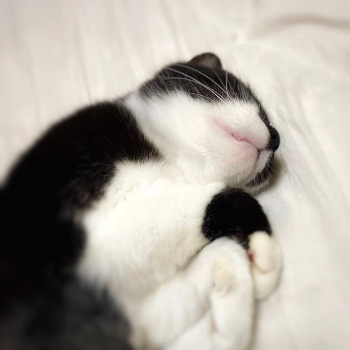 60982100 2bf1 472b 9801 ae57a46babd7 1599395460118