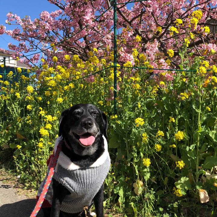 60983ed9 a687 48fe ac95 fd97861ca406 1614047266337