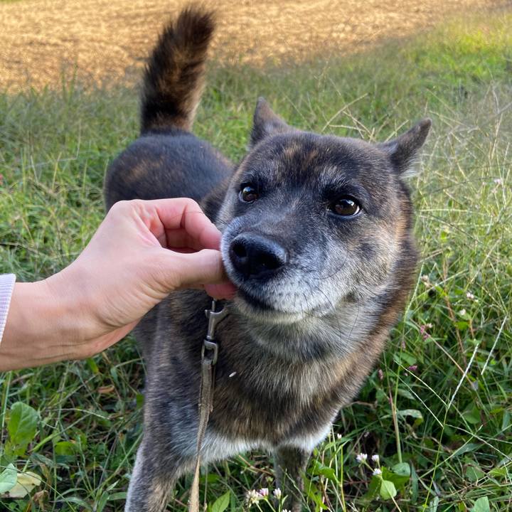 6098709f 95f8 48dd a4bb 28b821f9819d 1603925702402