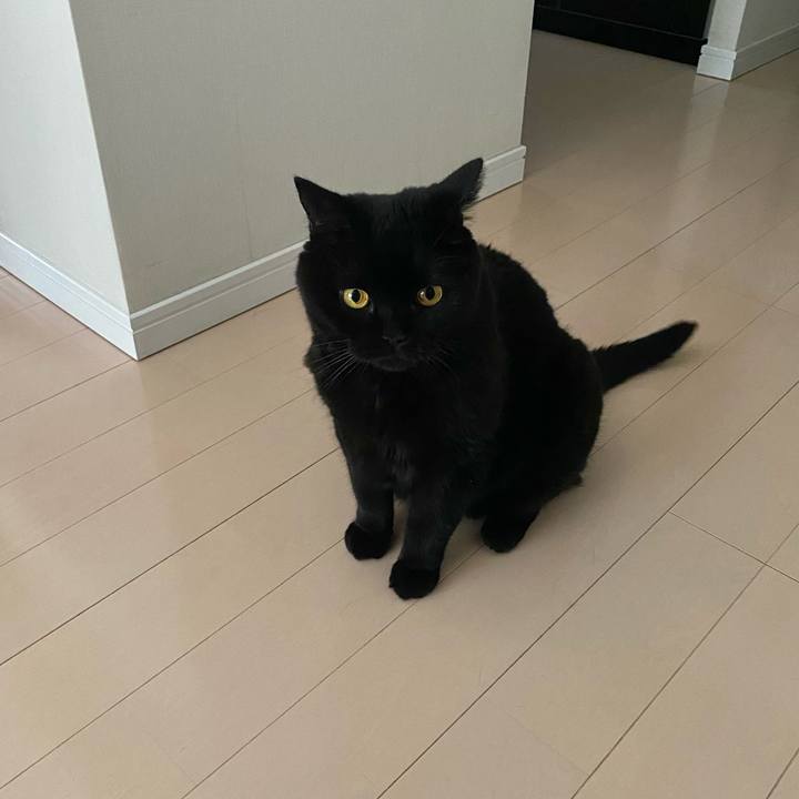 60989627 528d 4a0d b066 326548a1f08b 1724490287391