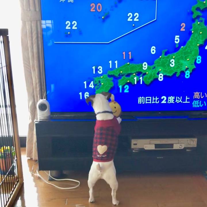 6098a328 2845 4632 be9e 470283c65e5c 1548379083046