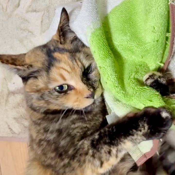 6098a663 01a3 4d4f b854 cfa976b30734 1766835323908