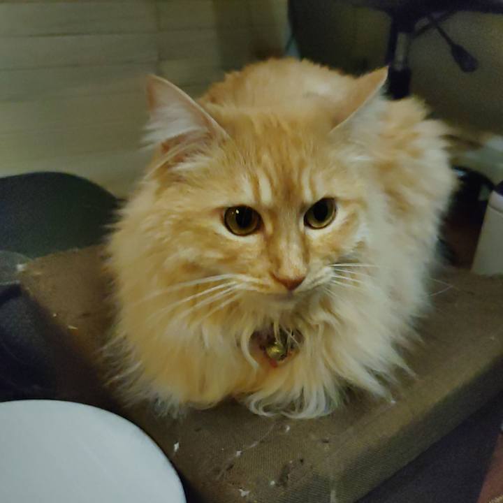 6098a6ae 8c05 4335 906c 330036f68f8a 1685097547640