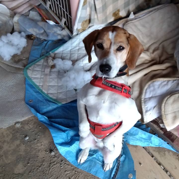 6098aa0a 121e 4e2a 9d92 881af7f547c7 1706445450255