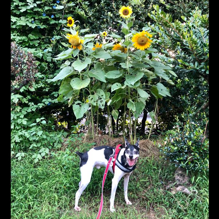 6098aac7 c59c 41f3 bfa3 a420aa96e1a5 1567810903631