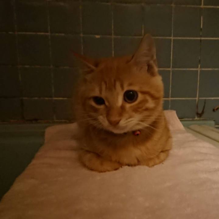 6098ab52 3dfe 43fe 8dc5 7f0eadf9f82d 1635326756995