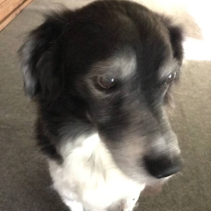 6098dccc 3fab 46d2 9ab6 2578e807065e 1538314718220