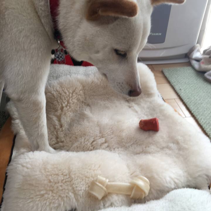 60990b1a 4fac 4fbd a663 9b86d4858035 1519118092069