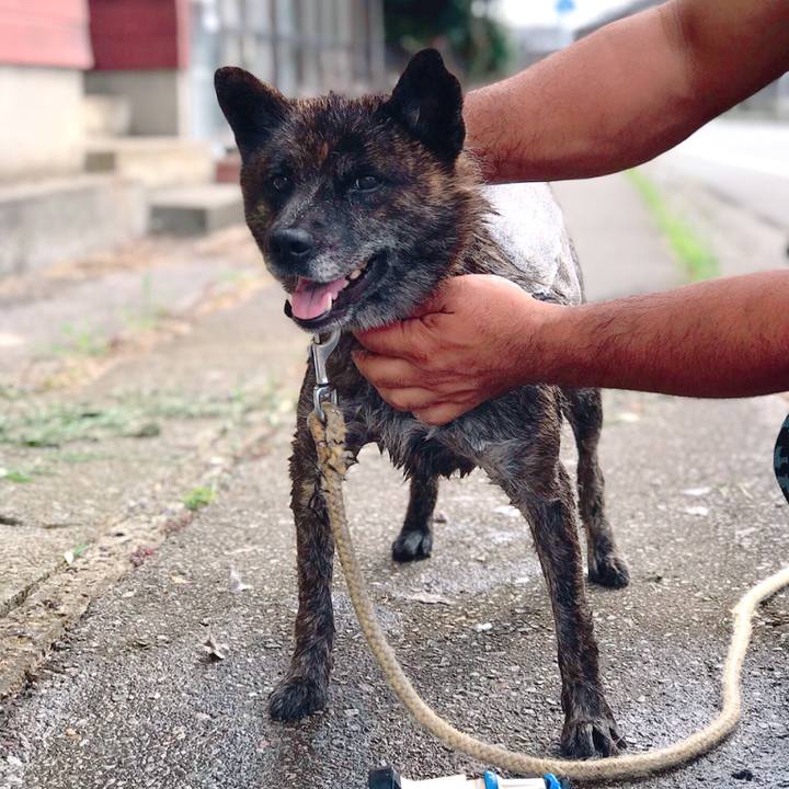 60992266 68c6 4148 a846 7d96610d4af1 1565592031915