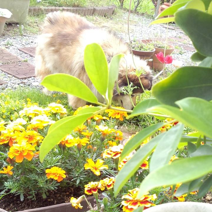 60992a4d 01bd 4fc6 bed8 76b285453e10 1562359276772