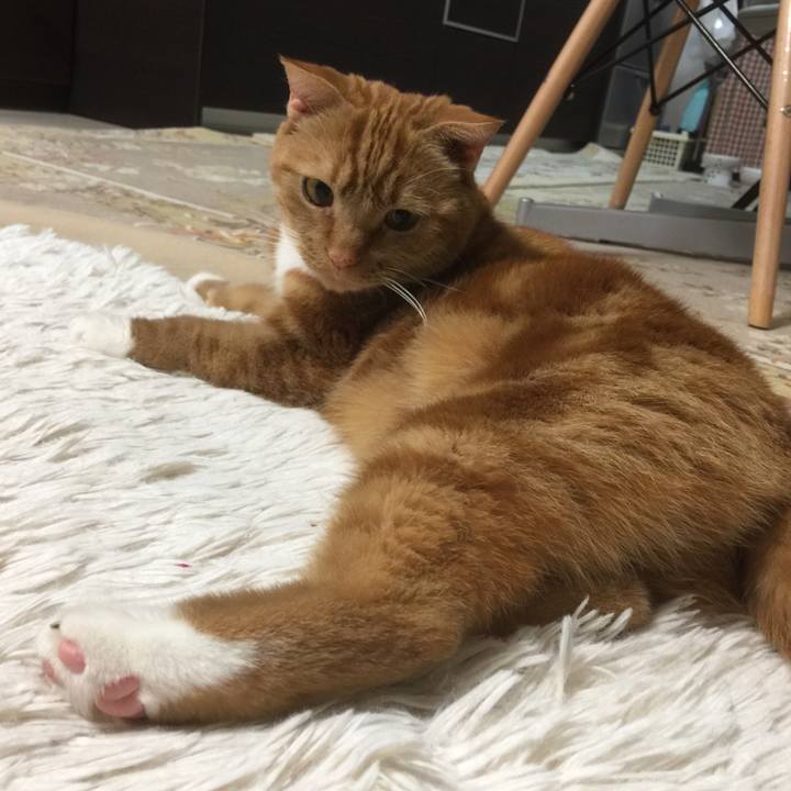 60992df0 4d3c 4f1a 8282 a1fbf3809531 1584104410960